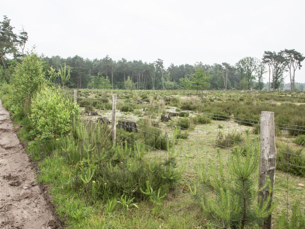 Luxurious Chalet In Oud Turnhout With Large Garden Oud-Turnhout Exterior foto